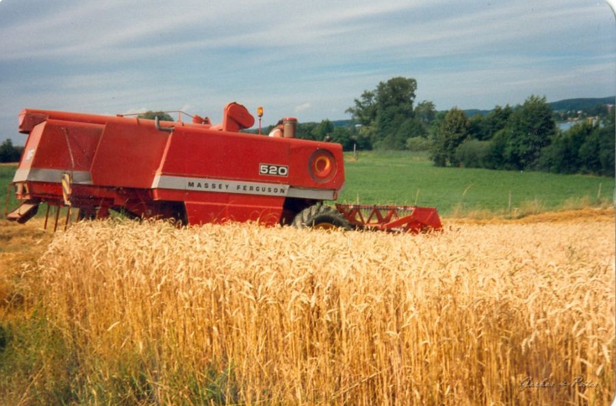 MF Drescher 14